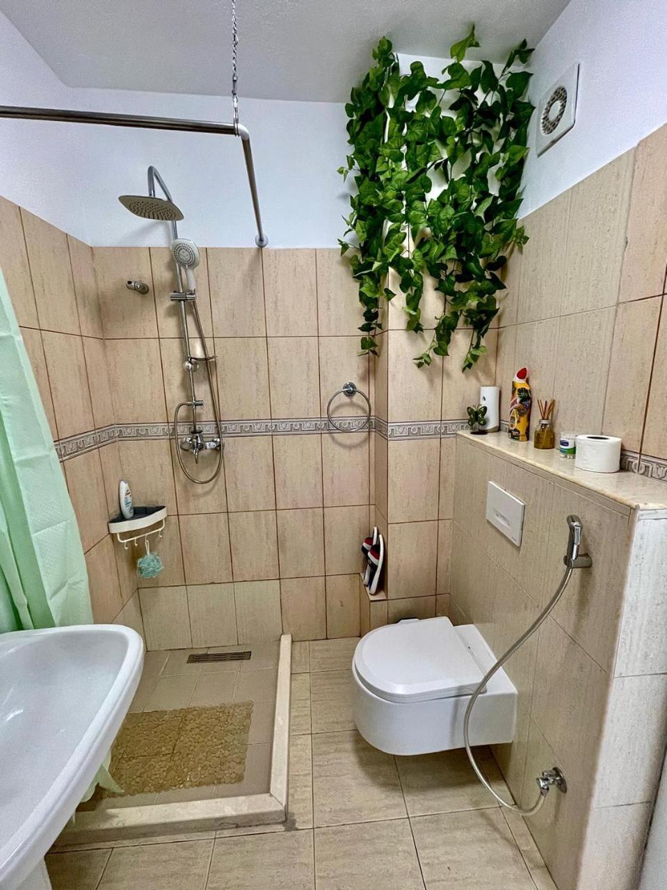 Flex Apartment Tirana Exterior photo